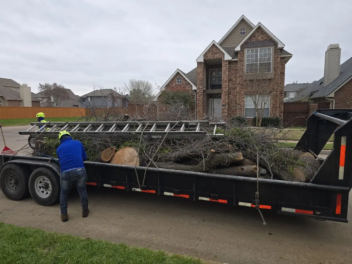 Expert Tree Fertilization with proper safety equipment in Weatherford